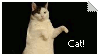 kitty cat stamp
